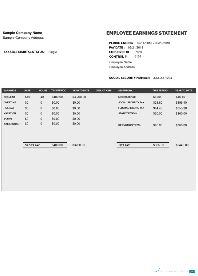 Download EMPLOYEE earnings statement template Word and PDF format Photoshop template